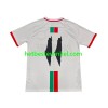 Club Deportivo Palestino Center Stripre Voetbalshirts Uit 2024-25